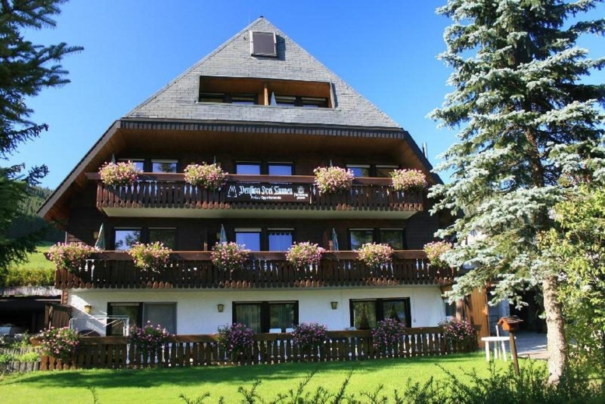 Drei Tannen - Wohnung 12 - Apartmenthaus, Titisee, Nahe Badeparadies Ngoại thất bức ảnh